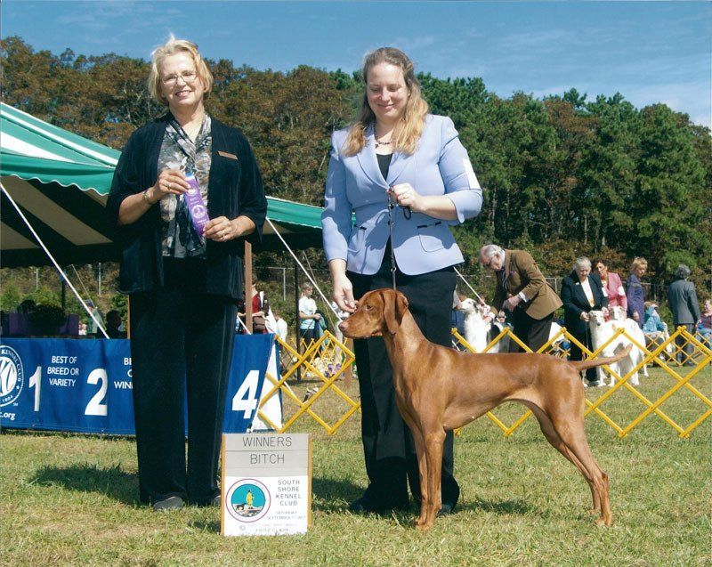 Dog show
