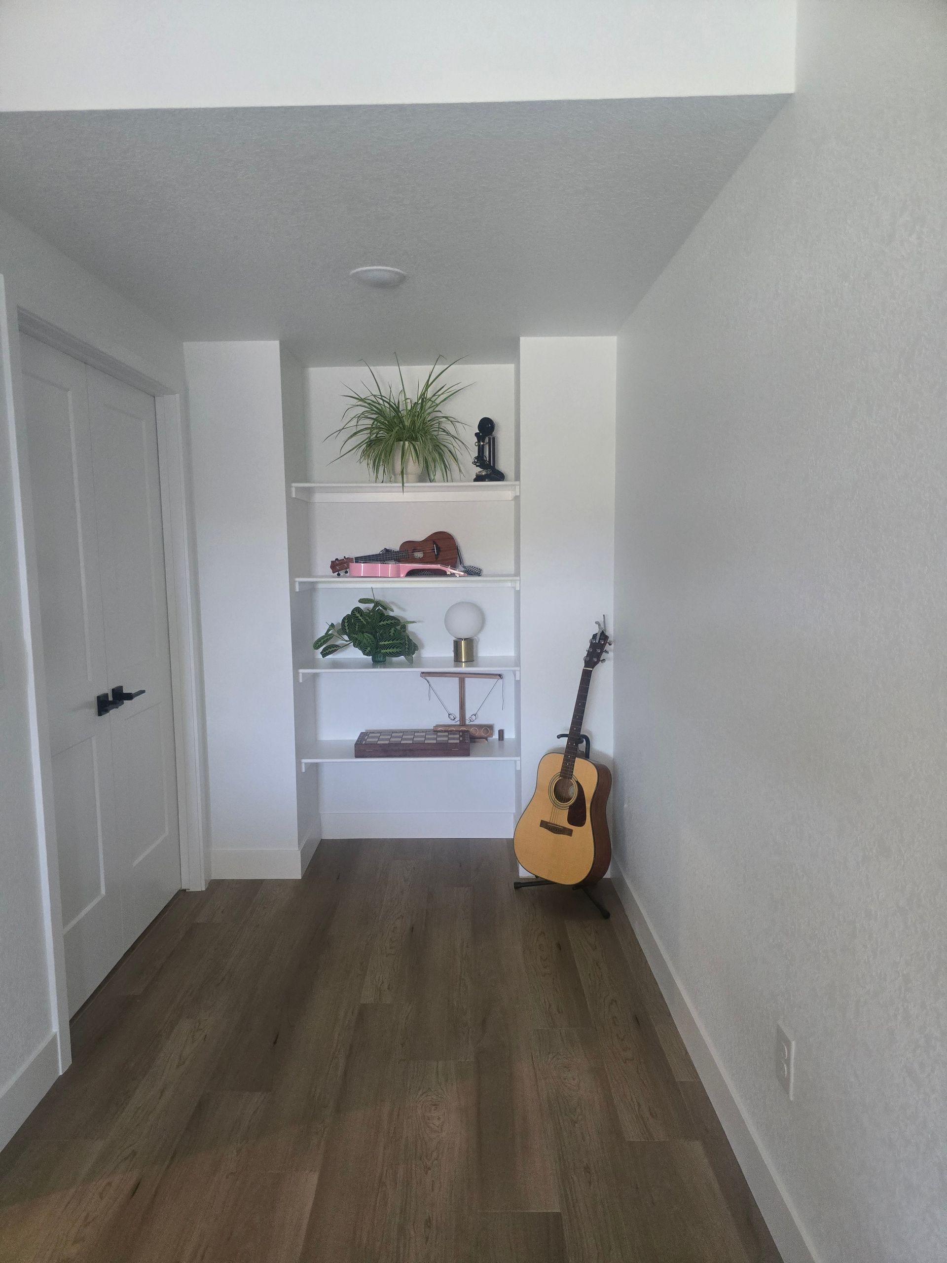 Narrow room with white walls, a built-in shelving unit displaying plants and a violin. A guitar leans against the right wall.