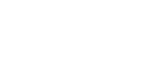Point Pleasant Antique Emporium - logo