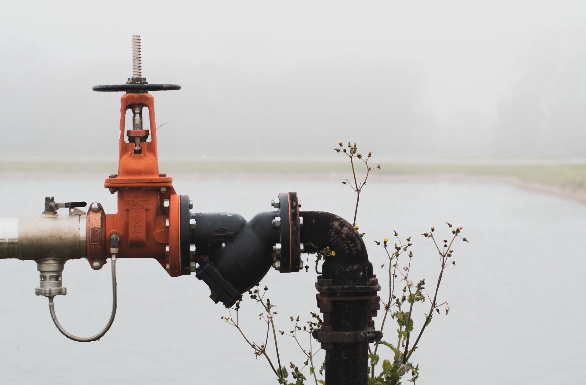 Backflow Services