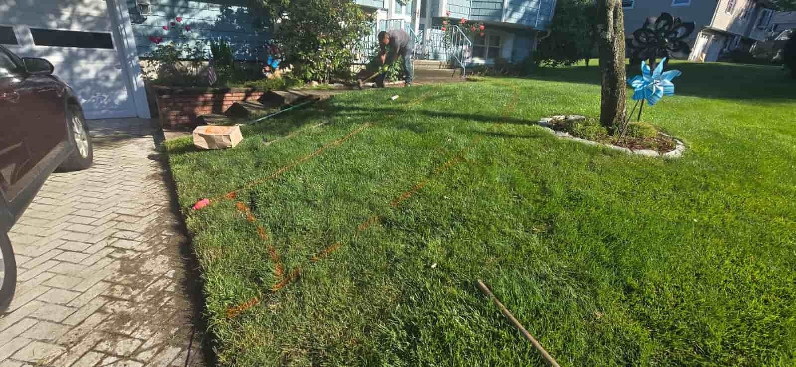 Sunlit lawn beside a stone path, with a reclining tan dog and a house in the background
