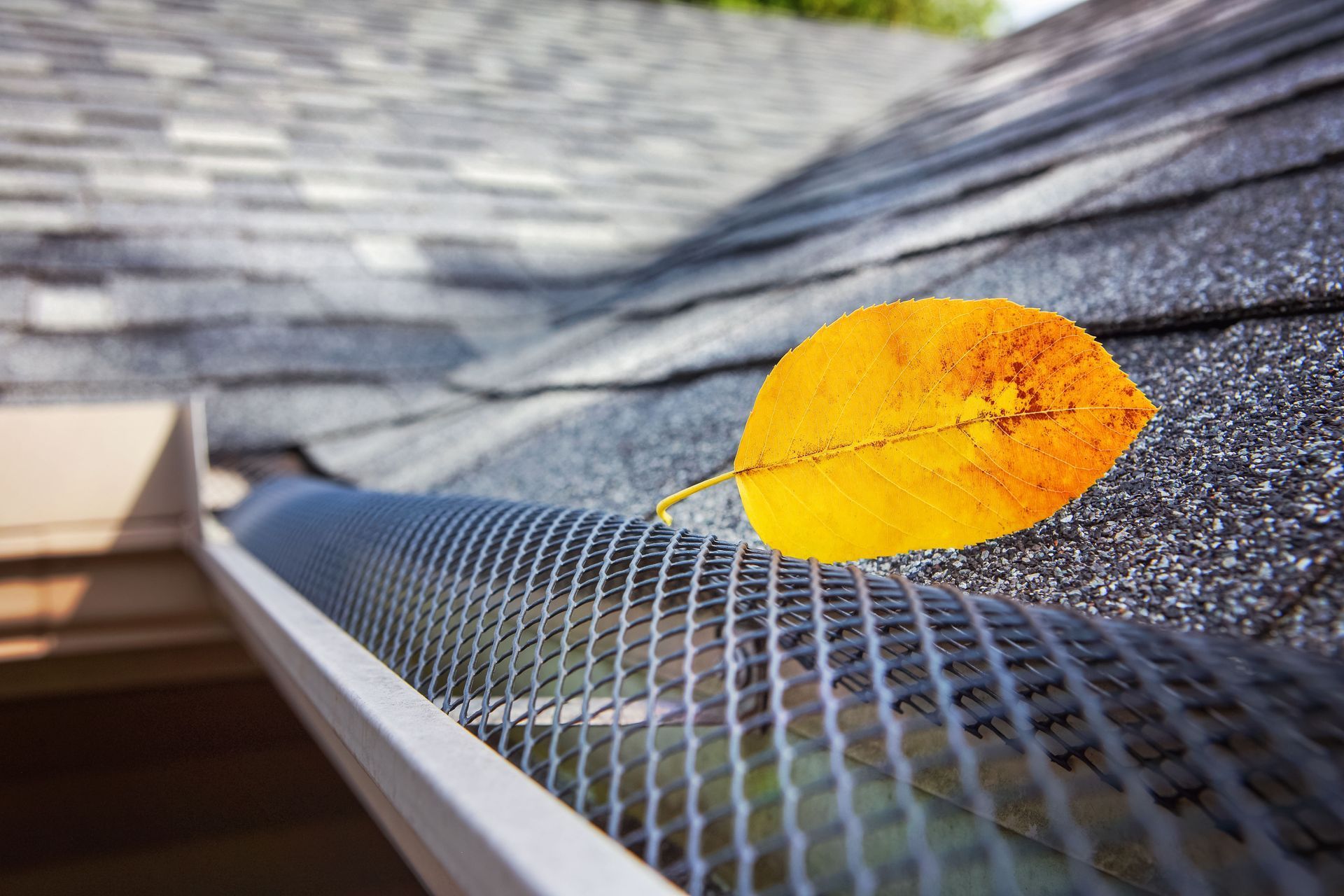 A single yellow autumn leaf rests on top of a dark gray metal gutter guard installed on a residential shingled roof.