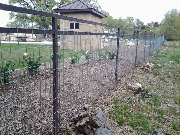 Wire fence beside a gravel path and house, with small plants and trees in a fenced yard.