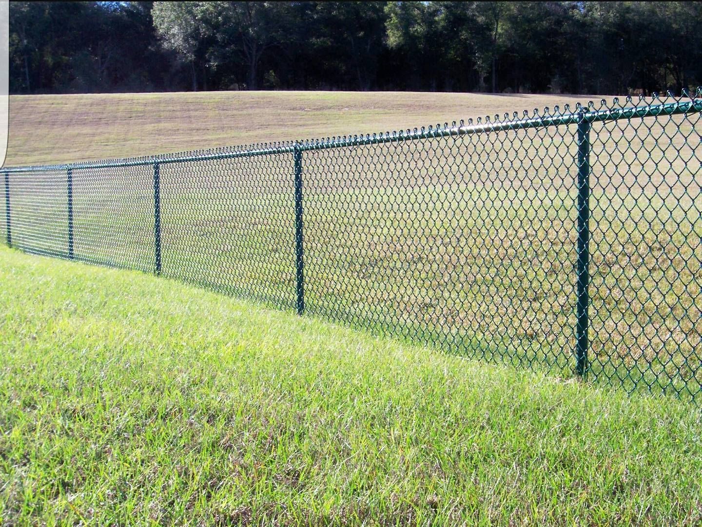 Chain-link fence along a grassy field with trees in the background