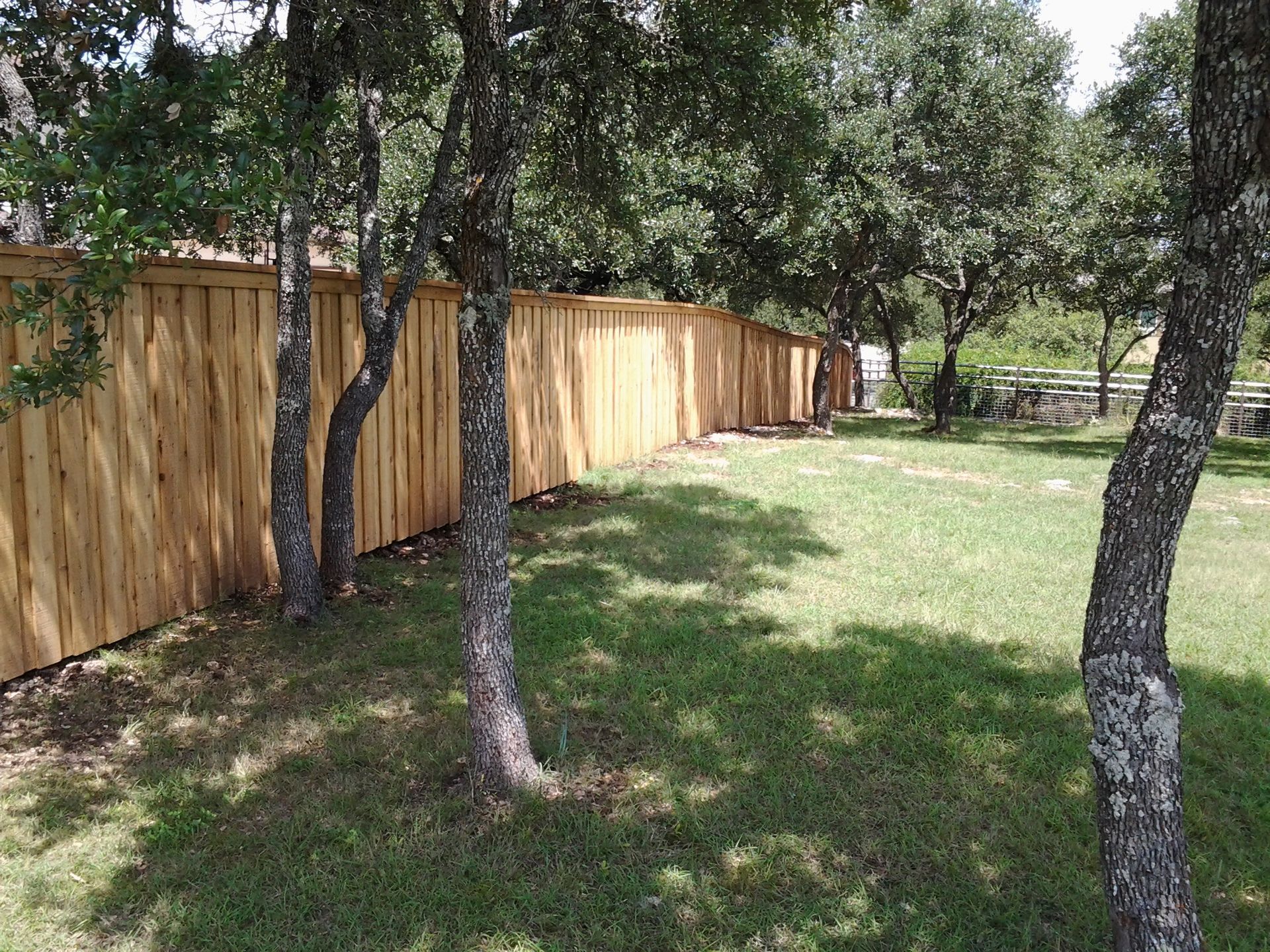 Backyard with tall wooden fence, trees, and grassy lawn in dappled sunlight