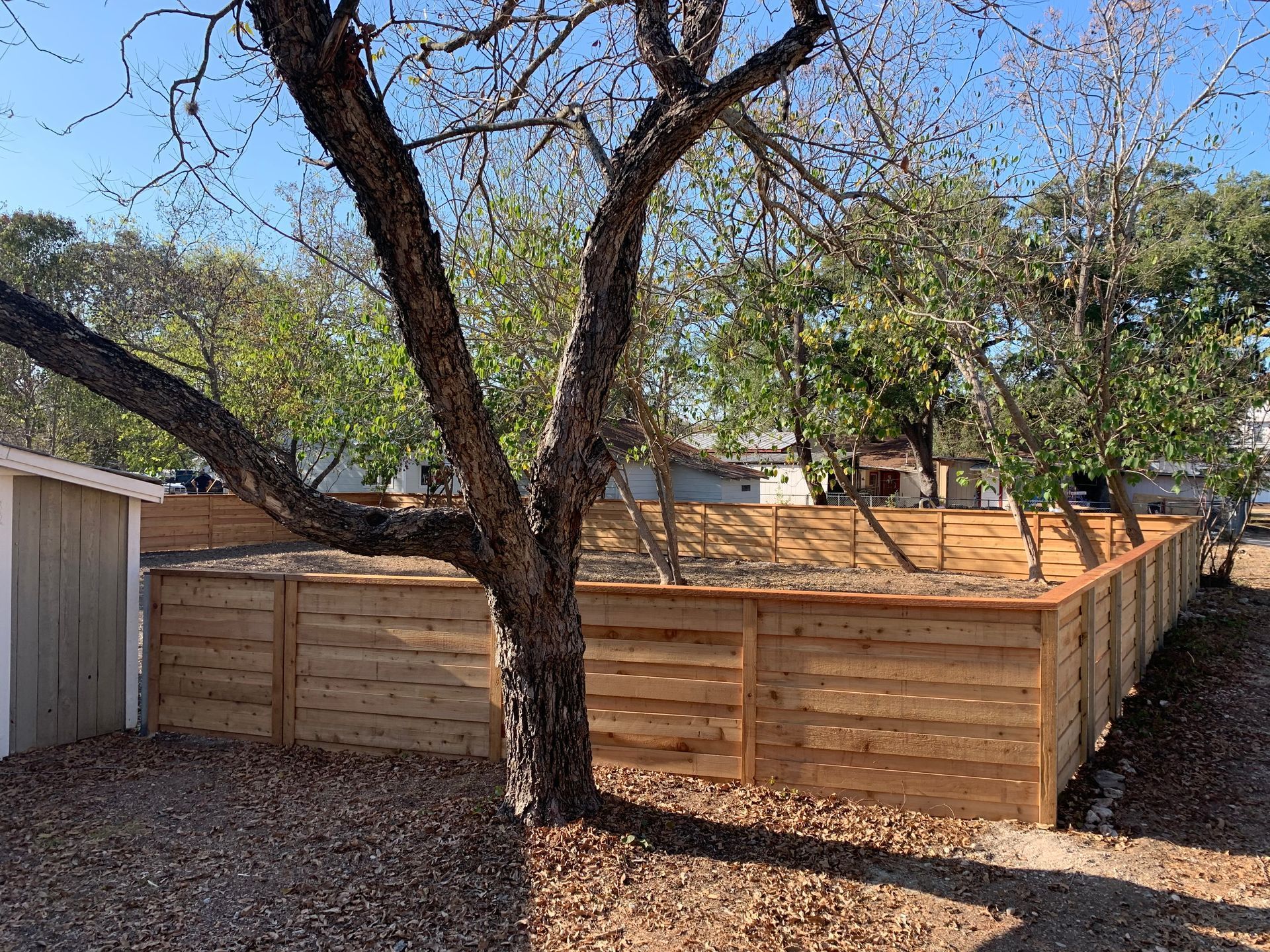 Wooden raised garden beds beside a tree in a fenced backyard with dry ground cover