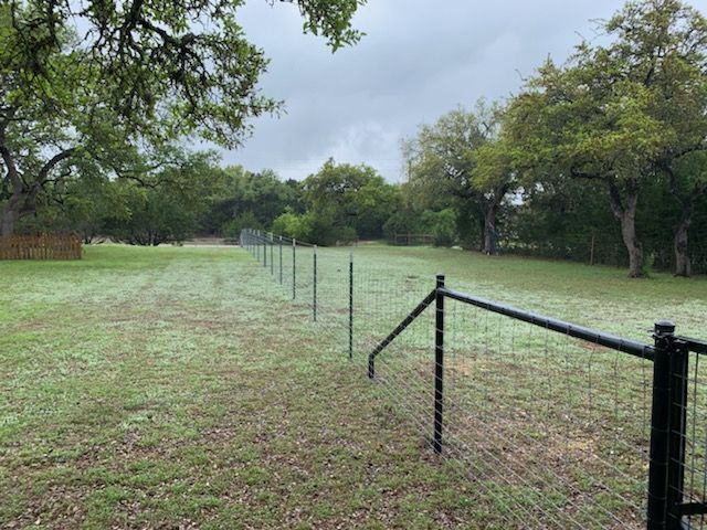 Frost-covered grassy field with a black chain-link fence and trees under an overcast sky