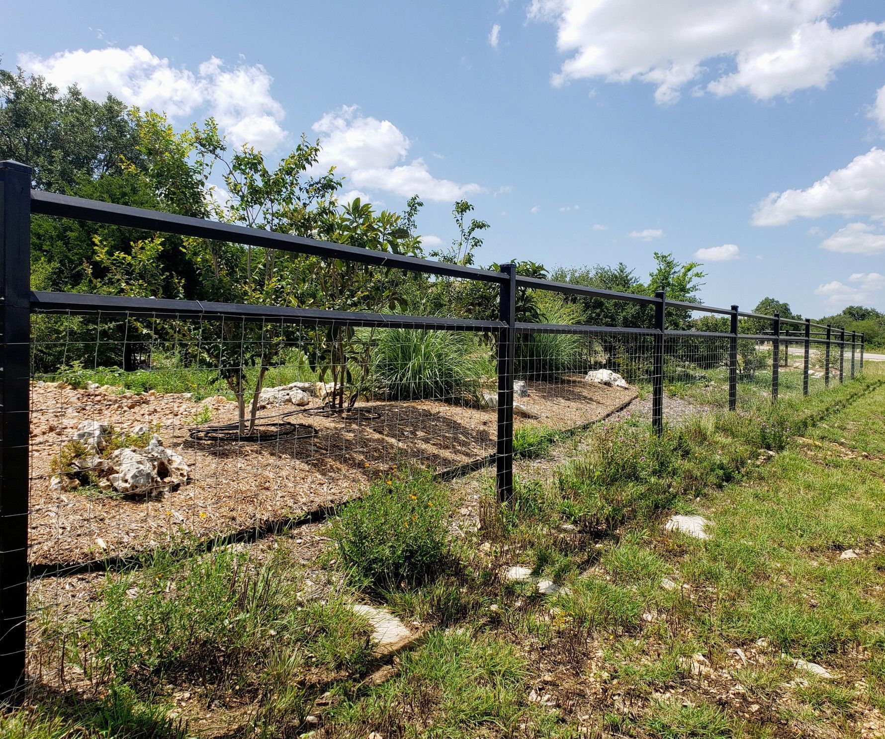 Black metal fence along a grassy, wooded field under a bright blue sky with clouds