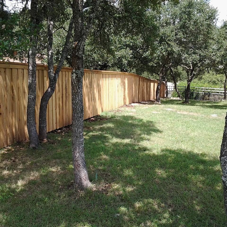 Trees and grass beside a long wooden fence in a sunny yard