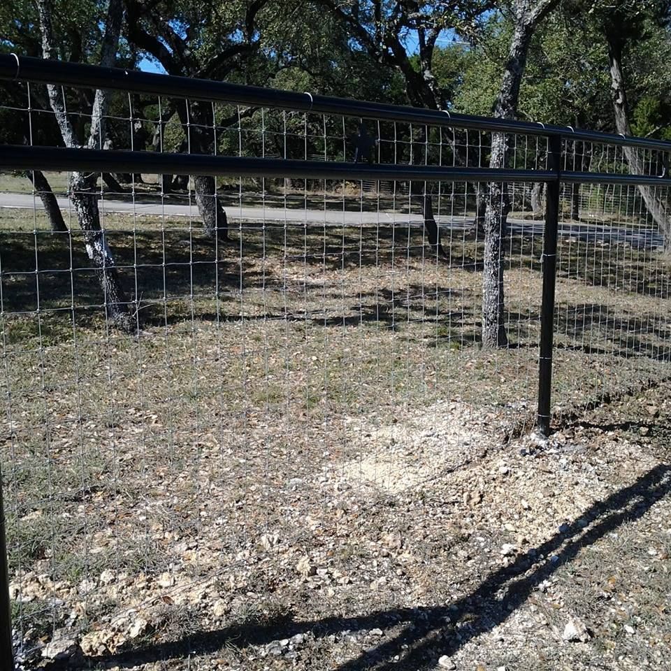Black metal gate in a sunny wooded pasture with gravel ground and trees in the background