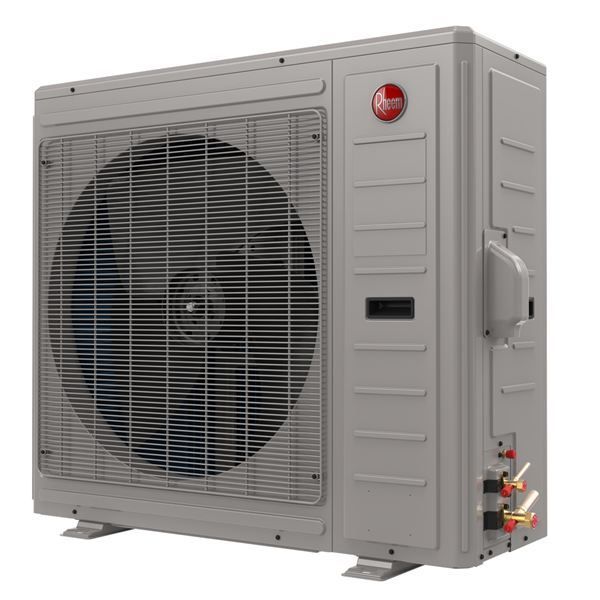 Rheem Endeavor Line Classic Plus