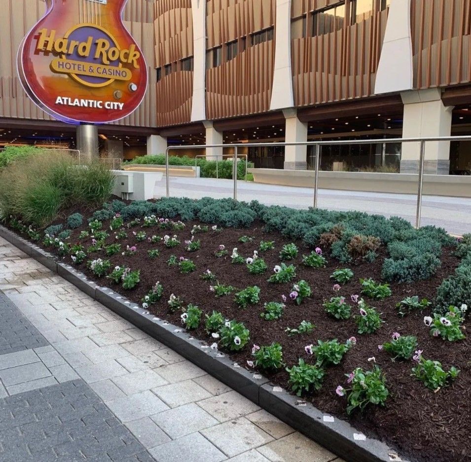 Hard Rock Atlantic City entrance with landscaped flower bed and modern facade