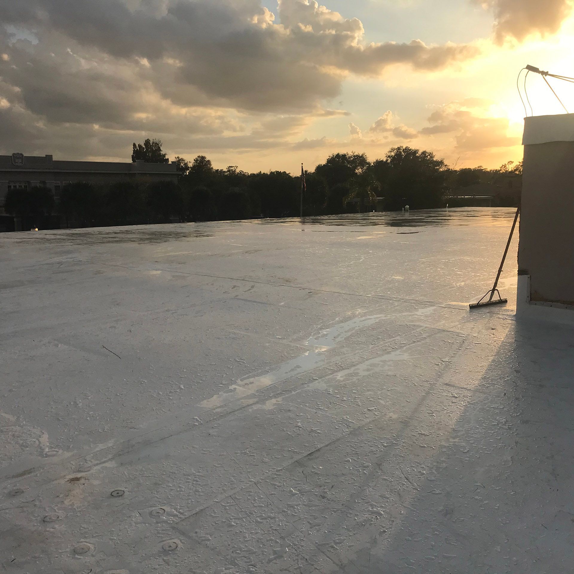 Wet rooftop at sunset with a cloudy sky and distant trees