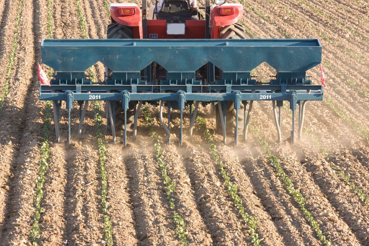 Green and black agricultural tillage implement in a field, with a sunrise backdrop.