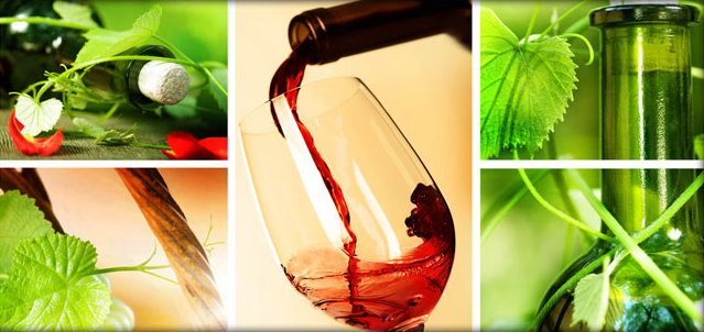 Organic Wine and Spirits | Corning, NY | Fazzary's Wine & Liquor Store | 607-962-2851