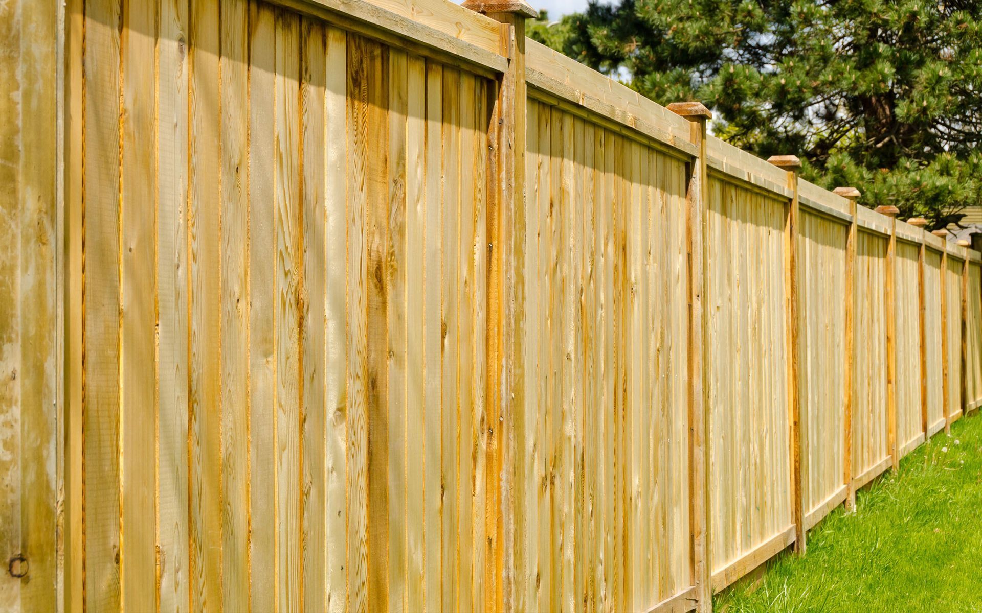 Fence Repairs