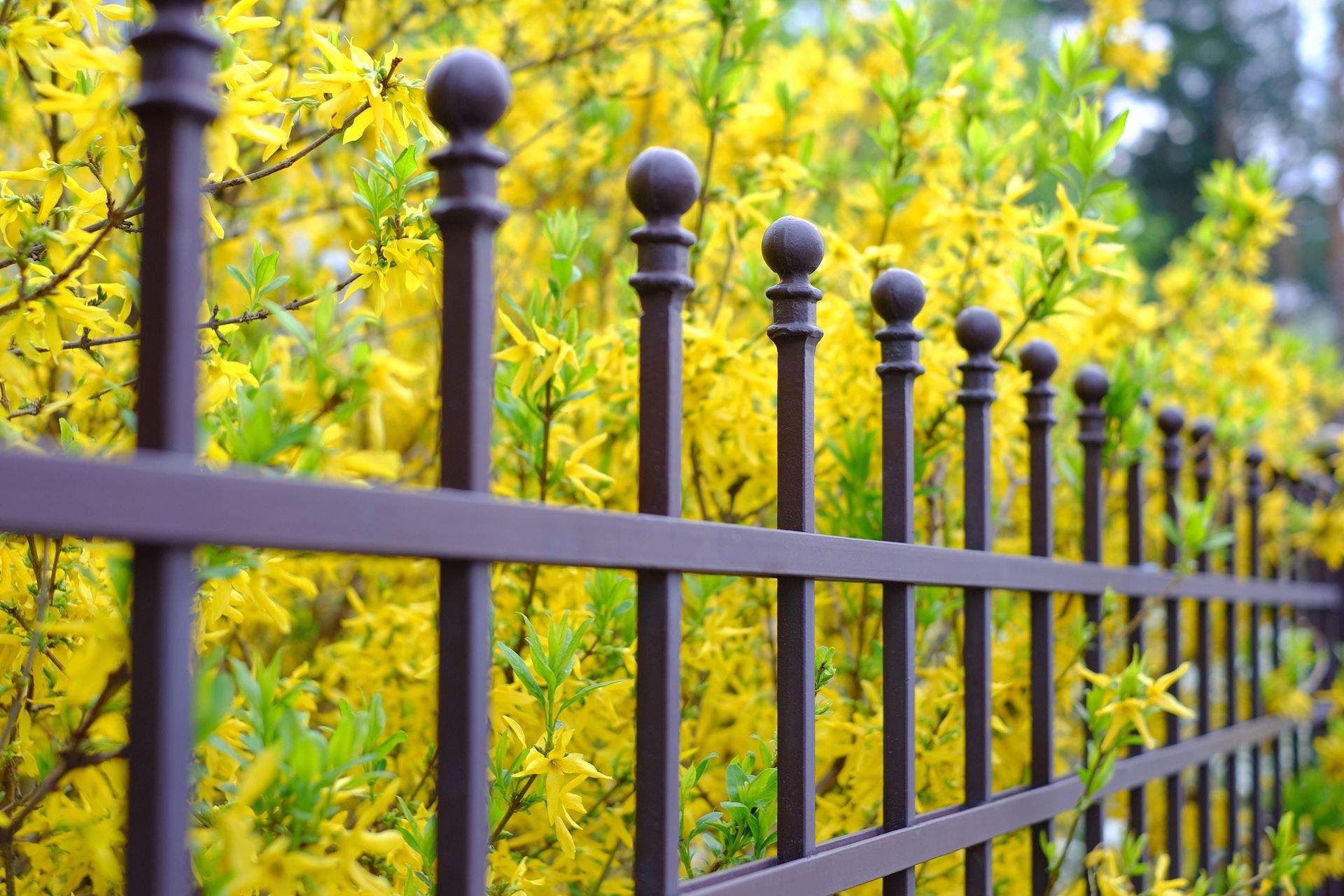 What Are the Benefits of Metal Fencing?