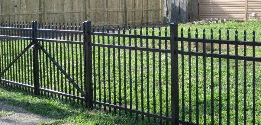 A black metal fence surrounds a lush green yard