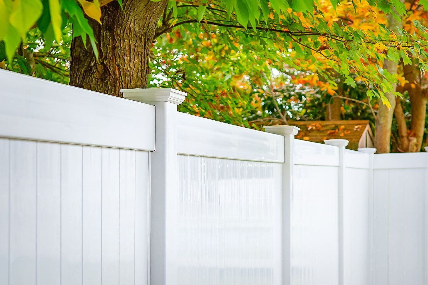 A white vinyl fence with a tree in the background.