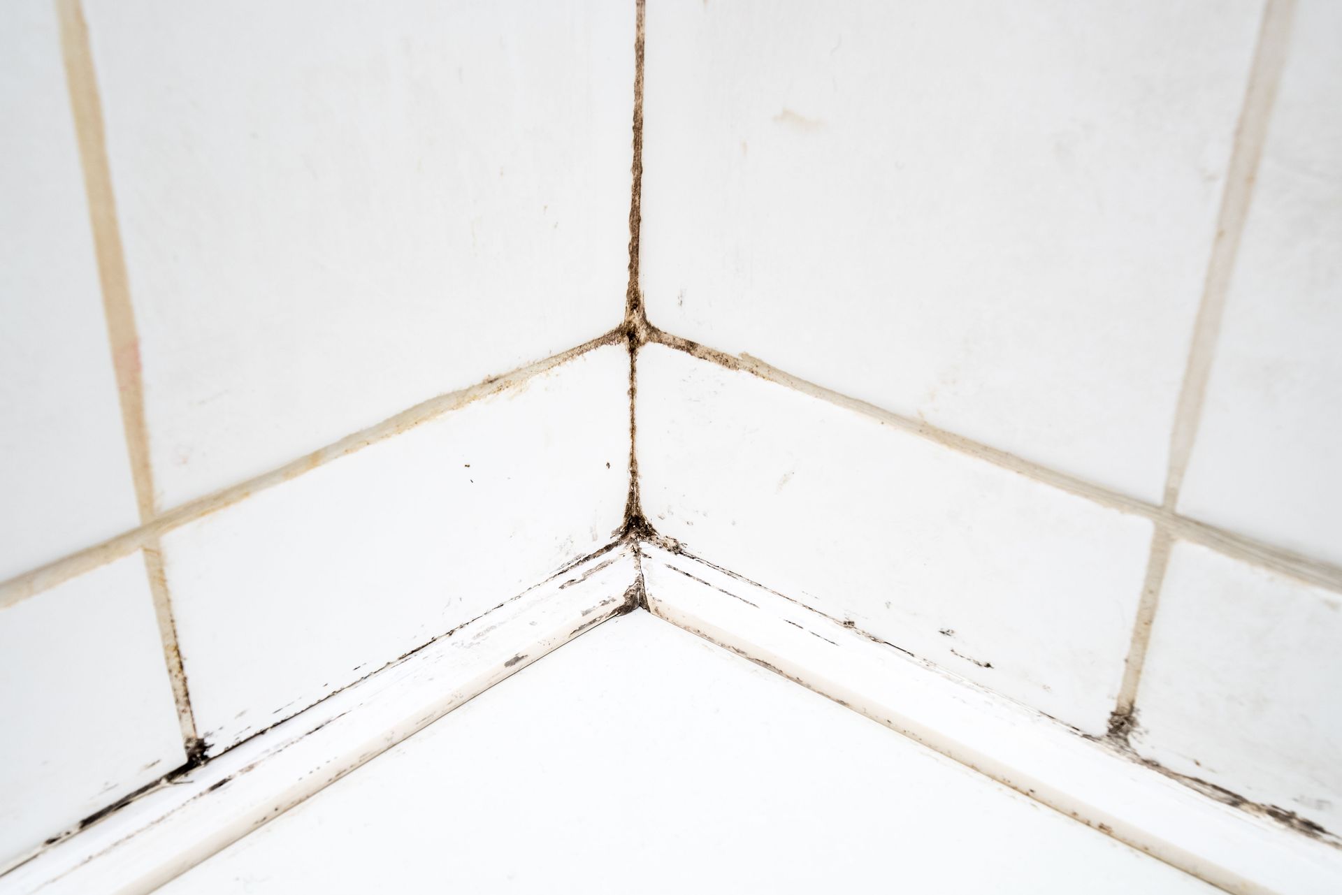 grout cleaning services
