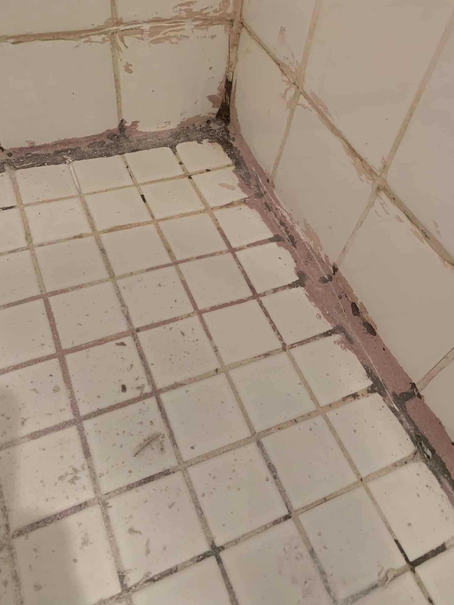 Dirty, tiled shower floor and walls. Pinkish grout with visible mold and grime around the edges.