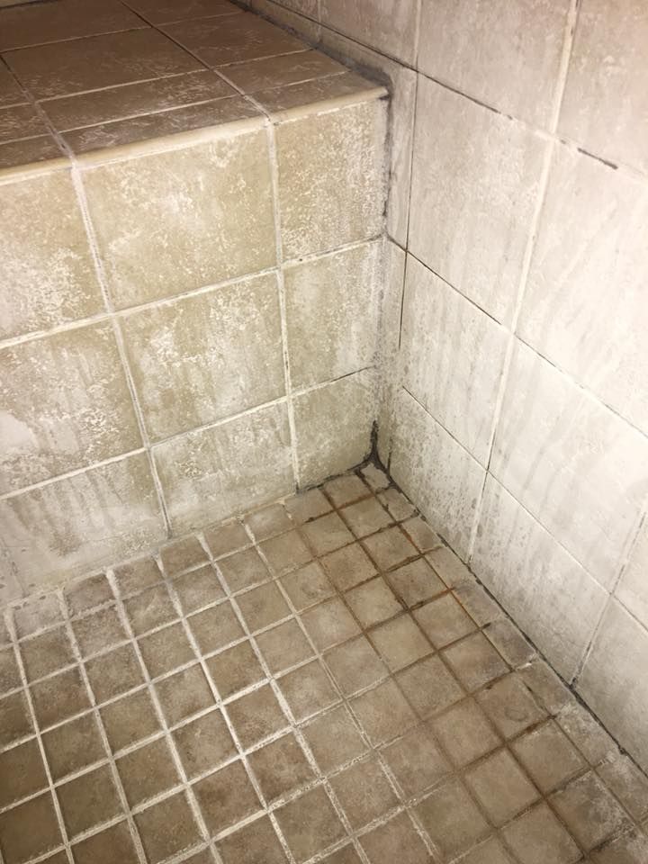 Tiled shower interior with dark mold in the grout and on the tiles.