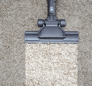 Cleaning Carpet