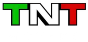 TNT Movers LLC - Logo
