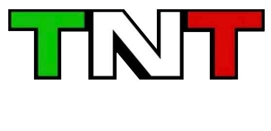 TNT Movers LLC - Logo