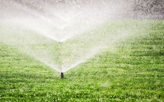 Sprinkler spraying water on green grass.