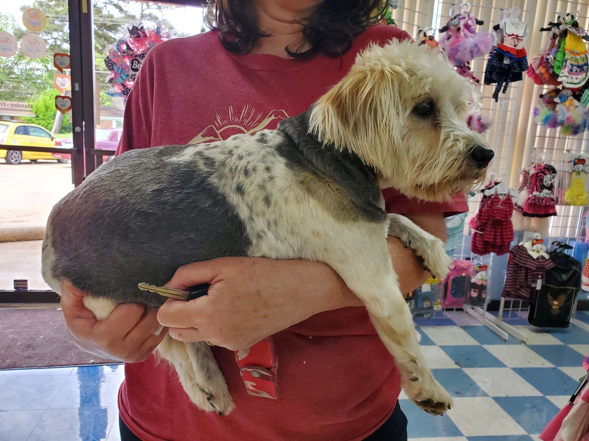 A woman is holding a small dog in her arms.