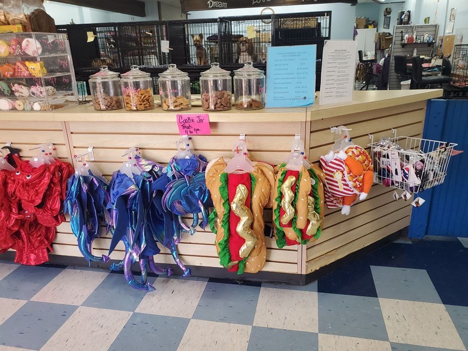 A store with a display of stuffed animals and a sign that says open