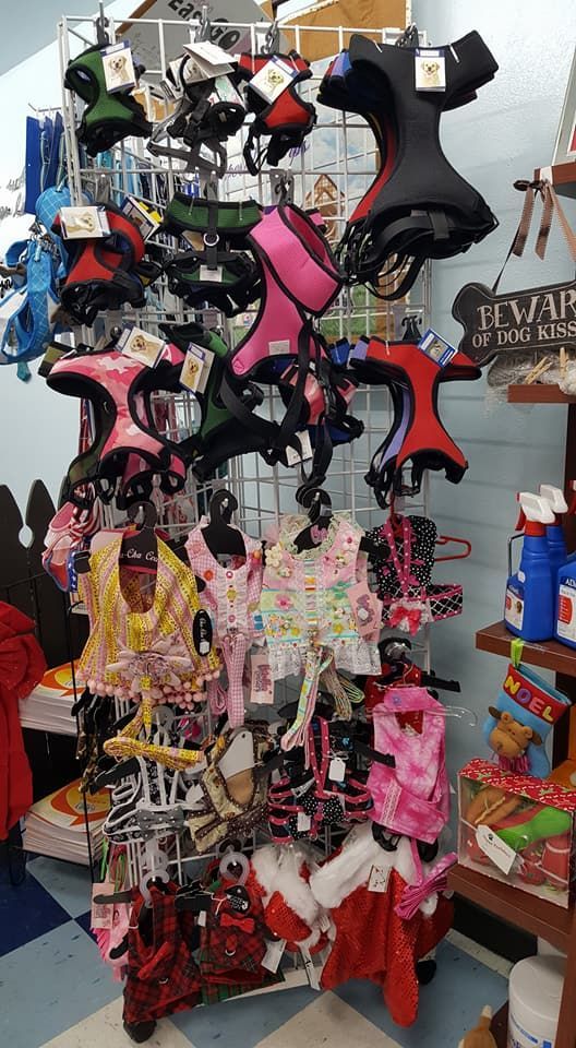 A display of dog harnesses and clothes in a store.