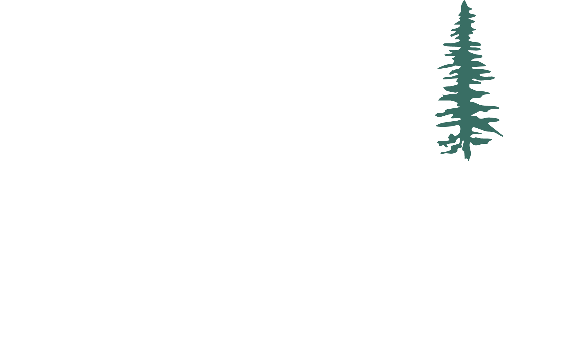 Sequoia Roofing & Construction
