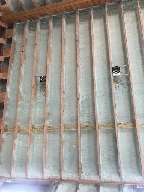 Wooden ceiling framework with spray foam insulation and electrical wiring. Two black electrical fixtures.