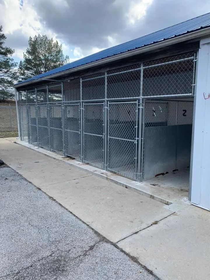 A row of outdoor dog kennels with chain-link fencing and concrete floors, under a blue metal roof on an overcast day.