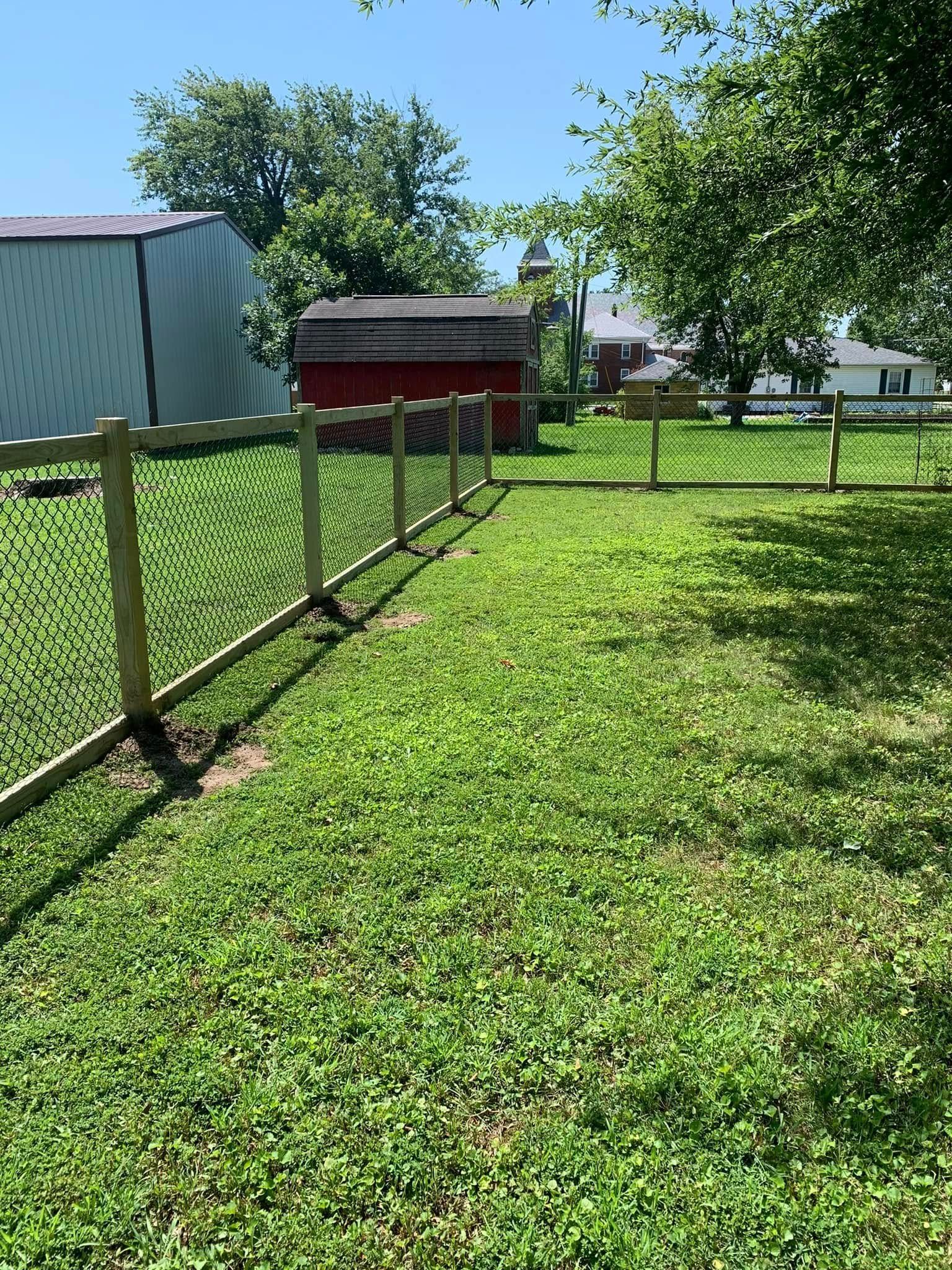 A chain-link fence lines a grassy yard with a red storage shed and a white building in the background under a blue sky.