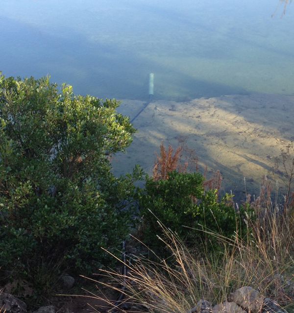 River pumping system