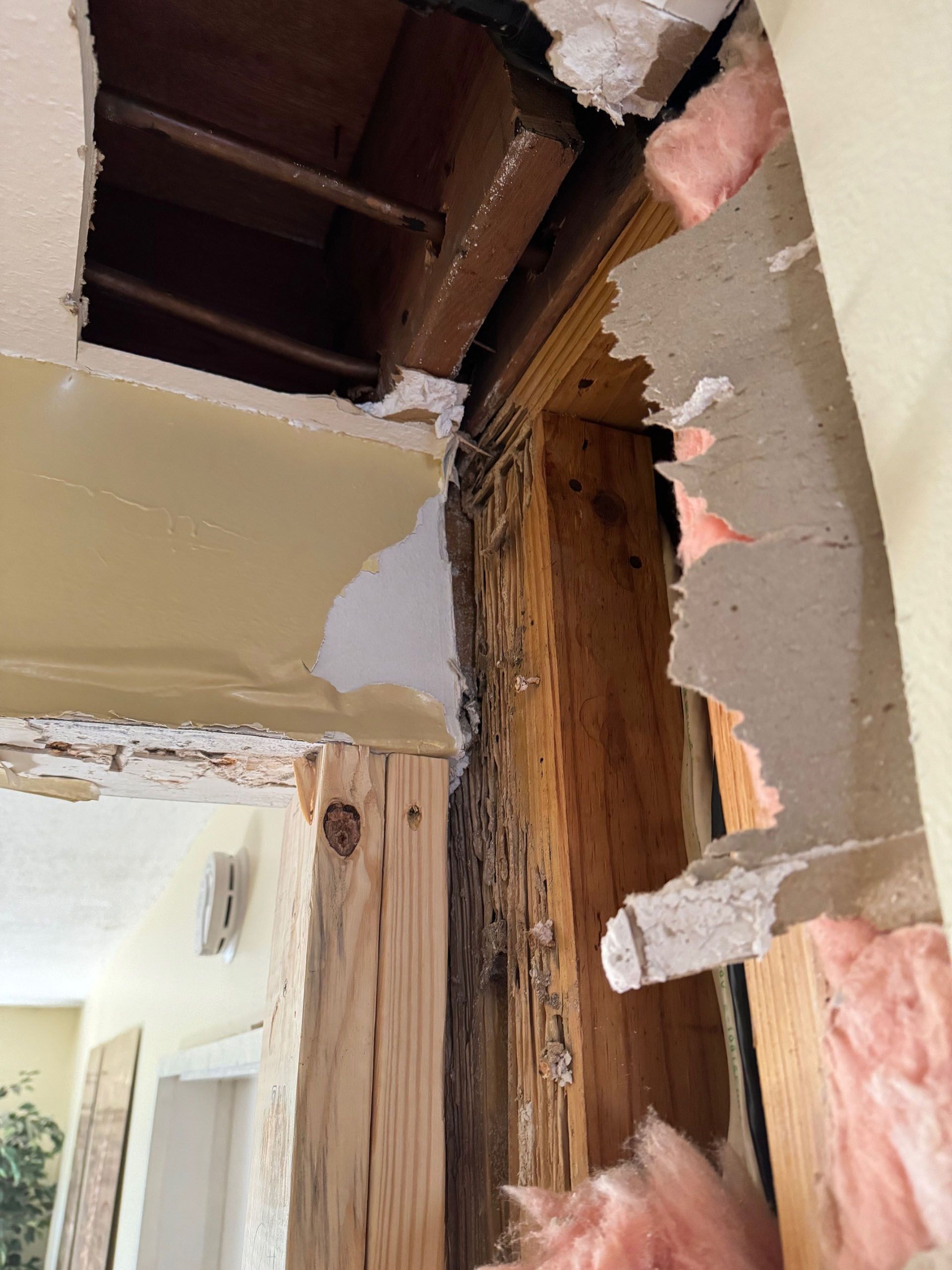 Termite Damage - Damaged wall exposing wood studs and insulation, with water damage visible on the wood and drywall.
