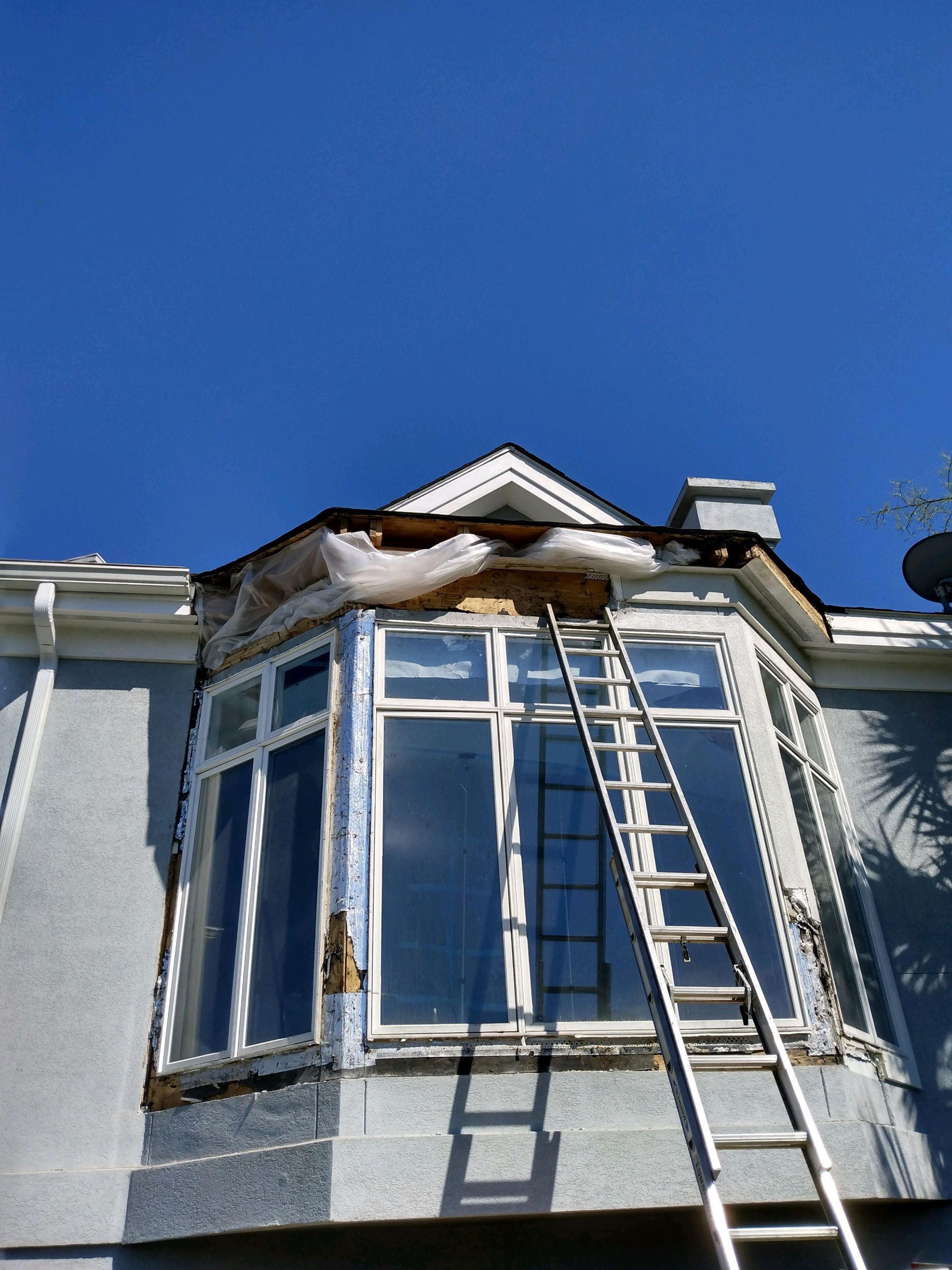 Termite Damage - Ladder propped against a house, reaching a bay window under construction; blue sky backdrop.