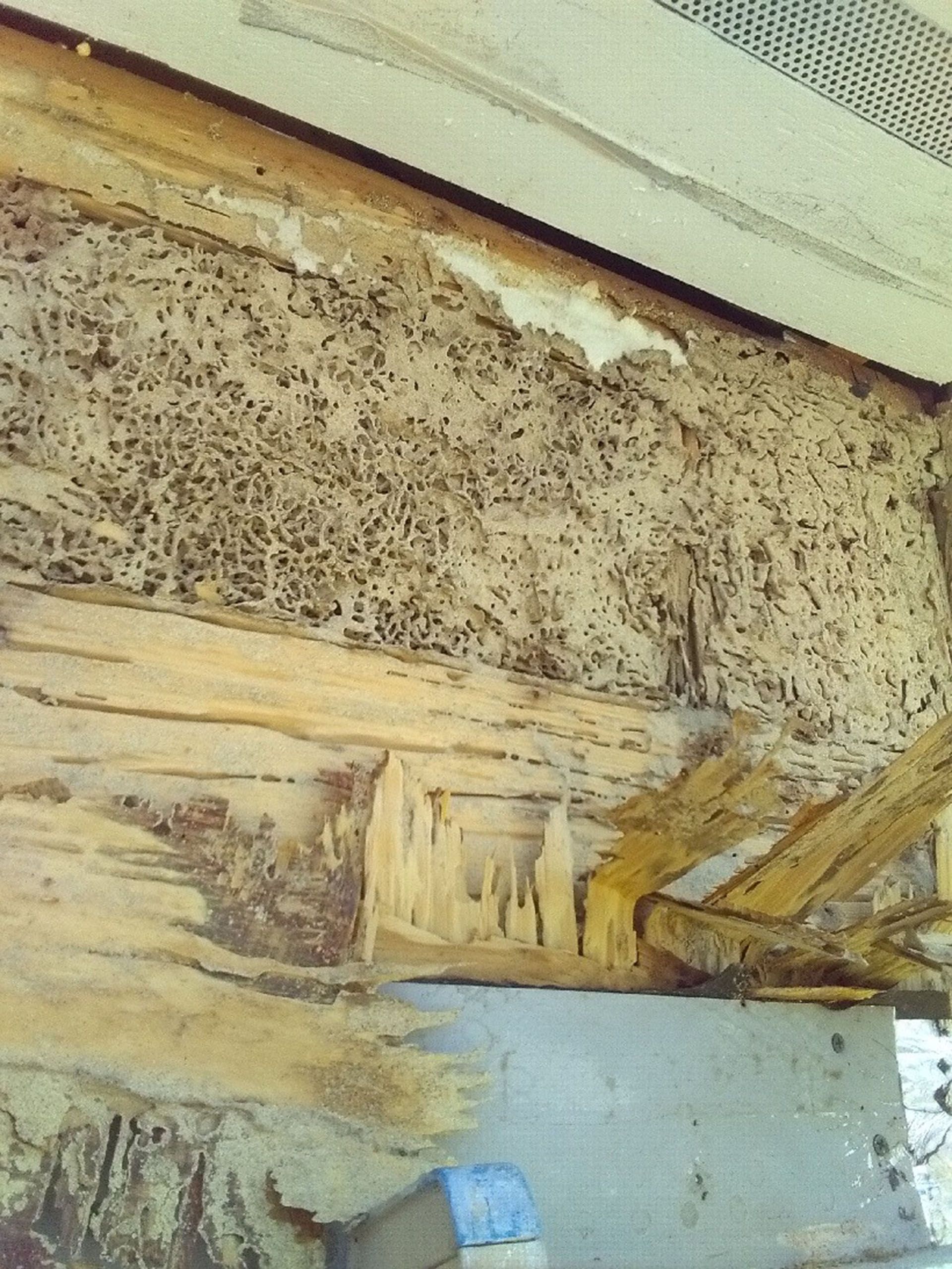Termite Damage - Wood beam severely damaged by termites; visible tunnels and eaten wood.