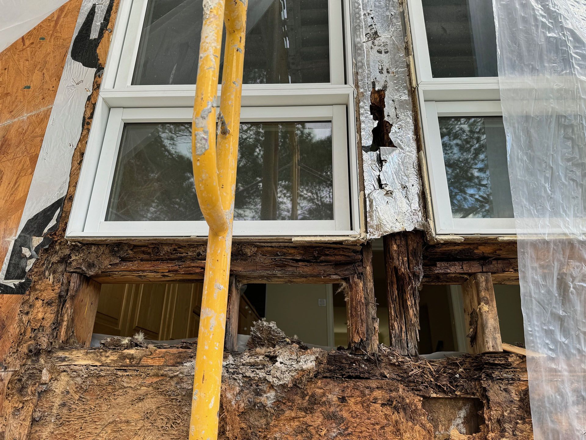 Termite Damage - Window frame undergoing repair. Damaged wood exposed around white window with yellow scaffolding in front.
