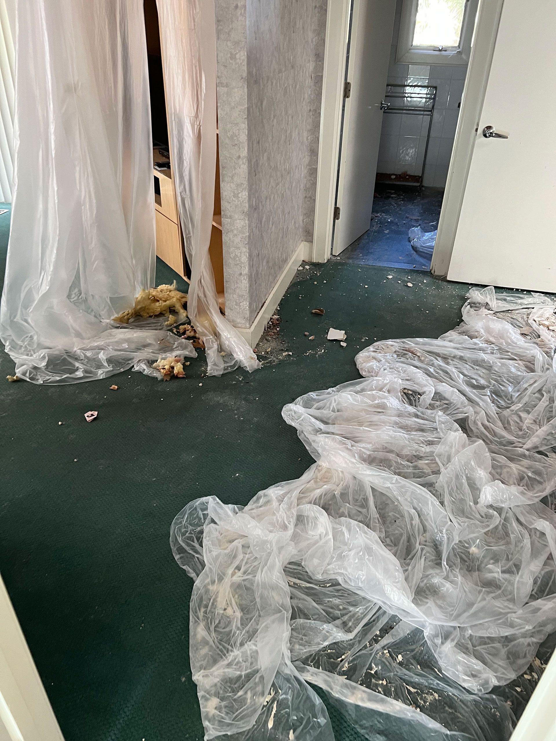 Room interior with green carpet, torn plastic sheeting, damaged wall, and an open doorway.