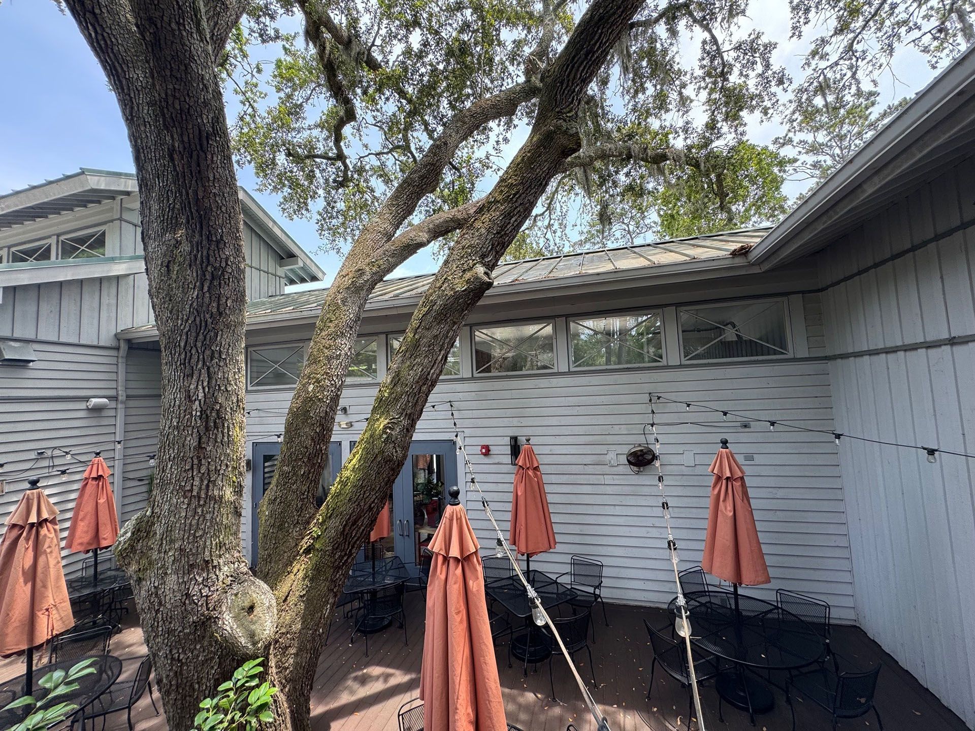 Commercial restaurant remodel and expansion  - Nunzios/Before:  Outdoor dining area with orange umbrellas, tables, and a large tree. White building in the background.