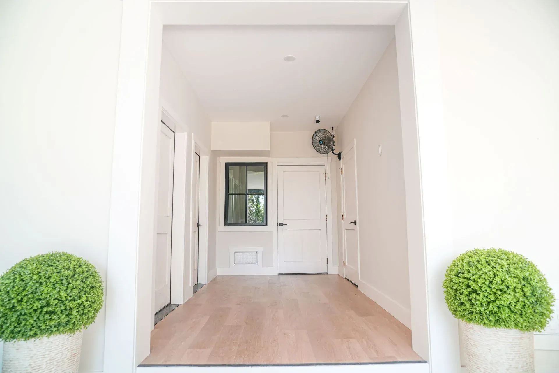 White hallway entrance with wood floor and potted green shrubs on either side.