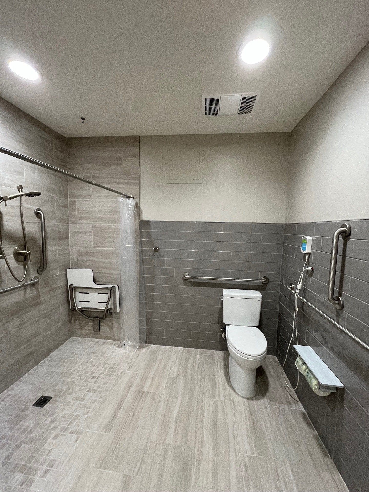 Accessible bathroom with shower, toilet, and grab bars. Gray tiles, light wood-look floor, overhead lights.