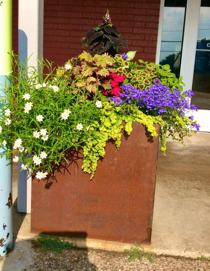A planter filled with purple and red flowers and greenery