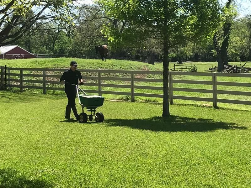 A man is spreading fertilizer on a lush green lawn with a wheelbarrow.