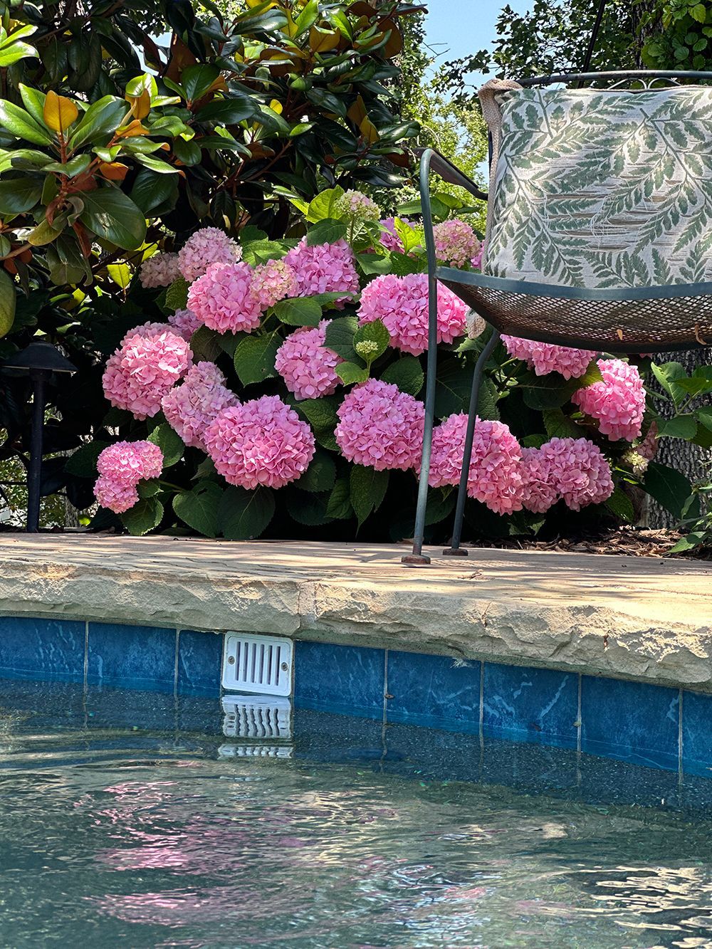 A swimming pool with pink flowers in the background and a chair in the foreground.
