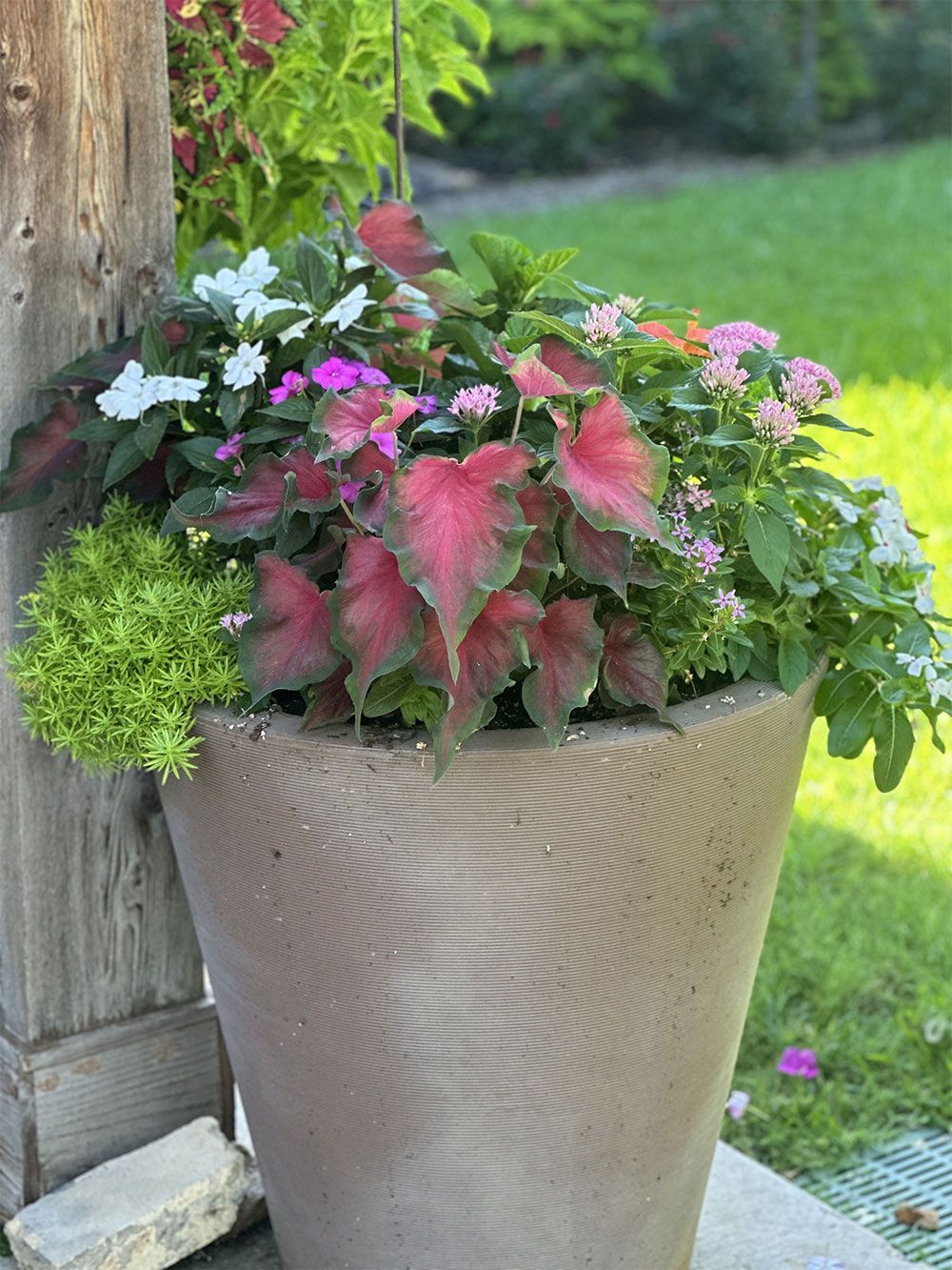 A large pot filled with flowers is sitting on a porch.